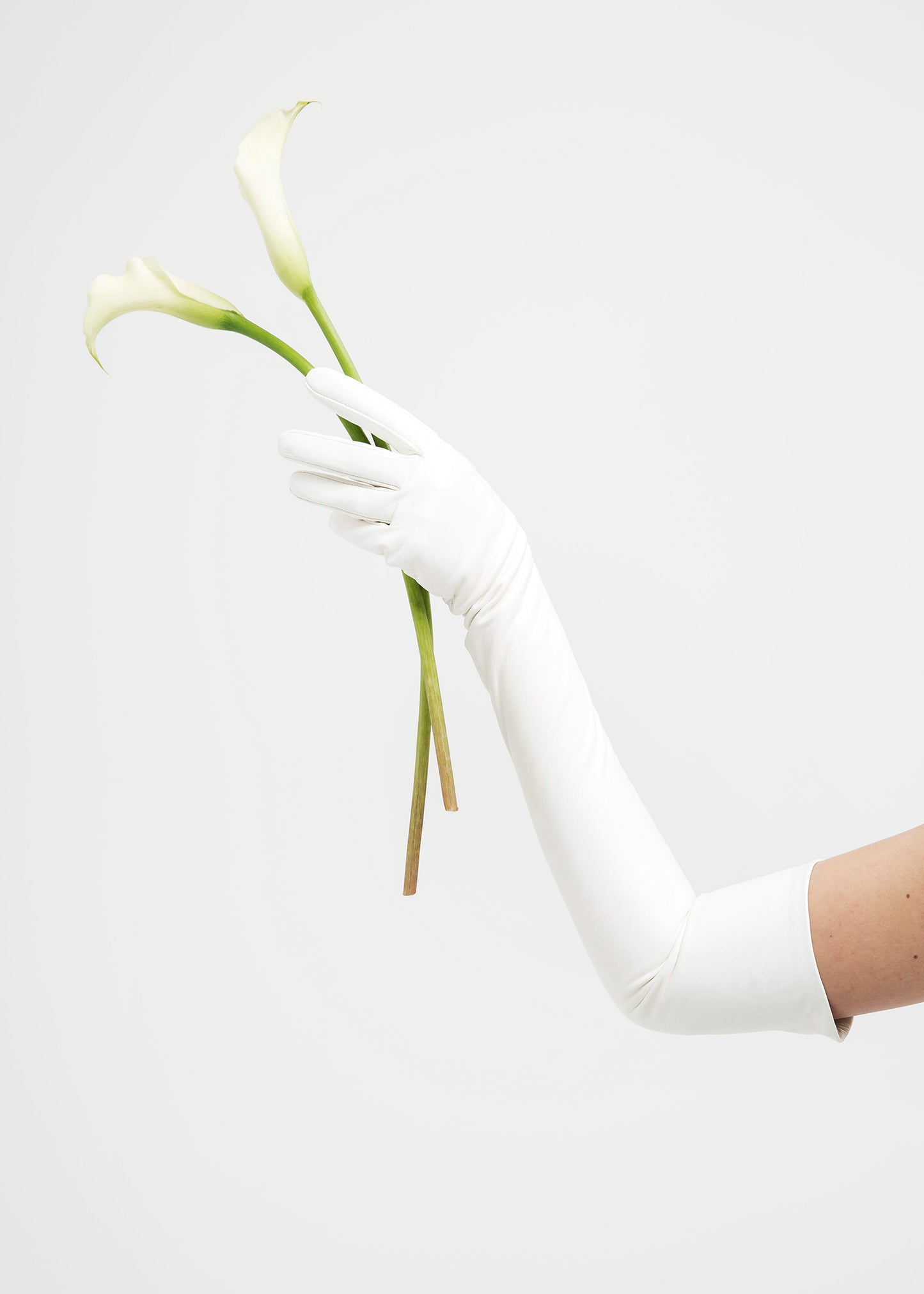 Contessa glove in white